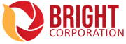Indonesia Venture Studio – Bright Corporation